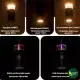 چراغ ماژولار چندکاره بلک داگ CBD2450ZM020