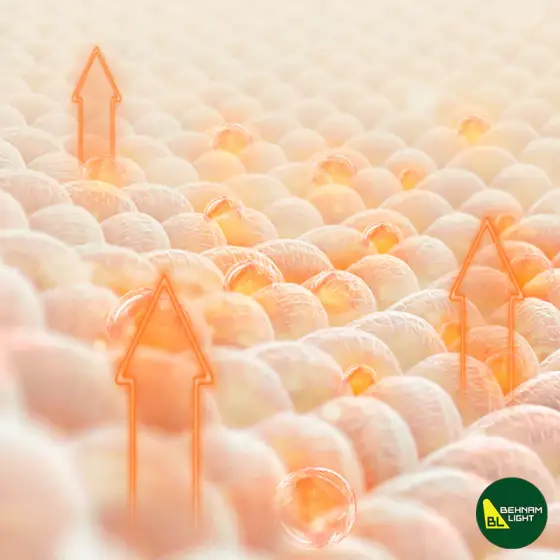 زیرانداز بادی 2 نفره نیچرهایک CNK2300WS011