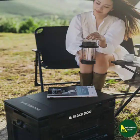 جعبه وسایل تاشو 50 لیتر بلک داگ مدل CBD2450XB014