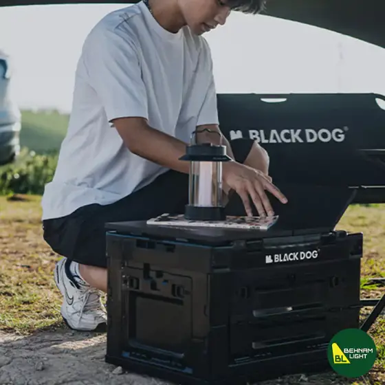 جعبه وسایل تاشو 50 لیتر بلک داگ مدل CBD2450XB014