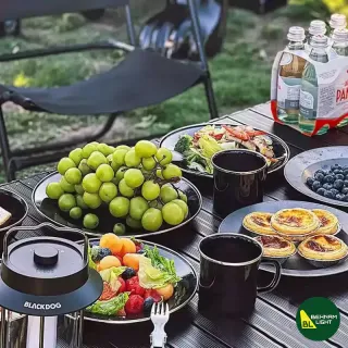 بشقاب لعابی بلک داگ CBD2450CF017