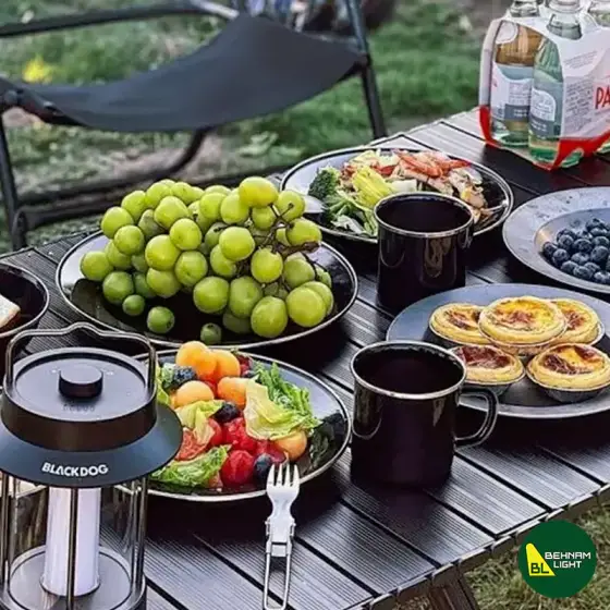 بشقاب لعابی بلک داگ مدل CBD2450CF017