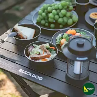 کاسه لعابی بلک داگ مدل CBD2450CF019