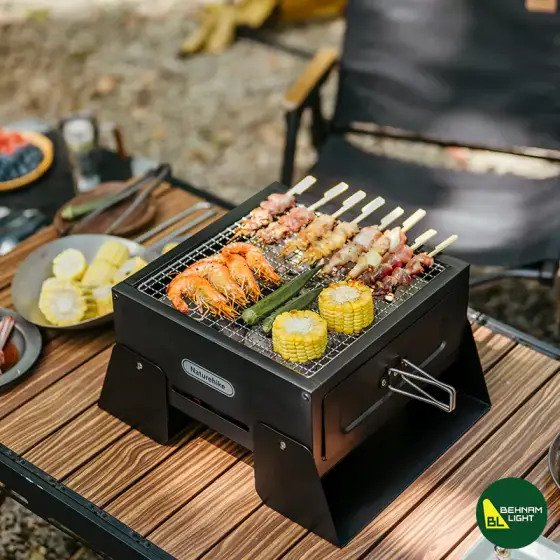باربیکیو نیچرهایک مدل CNK2450CF017