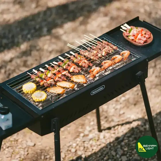 گریل ایستاده چند منظوره نیچرهایک مدل CNK2550CF013